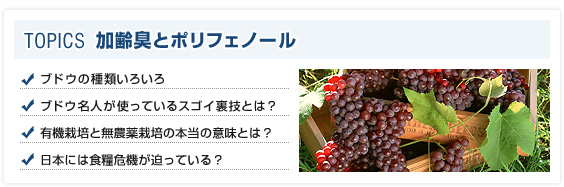 加齢臭とポリフェノール