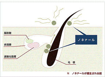 ノネナールの産生